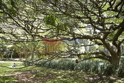Ogród botaniczny w Durbanie - House and Leisure 5/2014