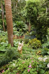 Ogród plantatora na Barbados - Andreas Von Einsiedel