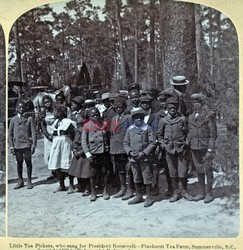 World History Archive HDD