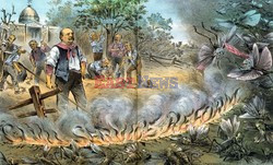 World History Archive HDD