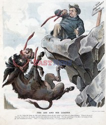 World History Archive HDD