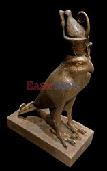 World History Archive HDD