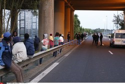 Imigranci we Francji