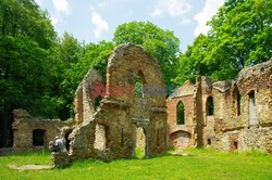 Wałbrzych - ruiny zamku Stary Książ