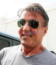 Sylvester Stallone w szarej koszulce