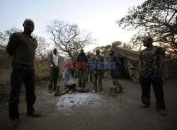 Wojna o kongijskie słonie - AFP