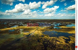 Podróże - Park Narodowy Everglades - bagna na Florydzie