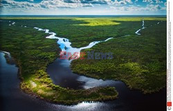 Podróże - Park Narodowy Everglades - bagna na Florydzie