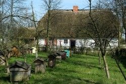 Polska MaLi
