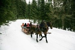 Polska MaLi