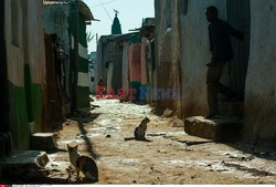 Harar, miasto kolorów - Sipa Press