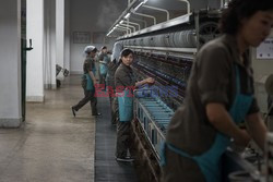Fabryka jedwabiu w Pyongyang - AFP