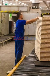 Zaklady produkcji mebli SWEDWOOD IKEA w Goleniowie