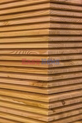 Zaklady produkcji mebli SWEDWOOD IKEA w Goleniowie