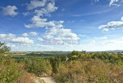 Polska LeKo