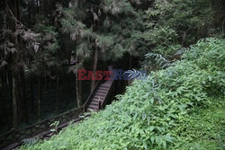 Park narodowy Alishan - Sipa