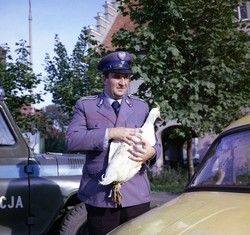 Wyjście awaryjne