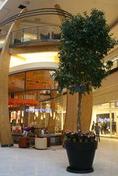 Otwarcie Bonarka City Center w Krakowie