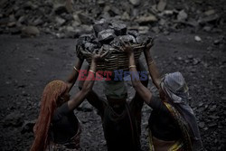 Indyjscy górnicy - Redux