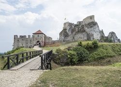 Polska LeKo