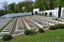 Cmentarze i nagrobki Albin Marciniak