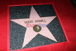 Mark Hamill otrzymał gwiazdę na Bulwarze Sławy