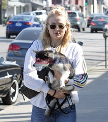 Sophie Turner i Joe Jonas na spacerze z psem