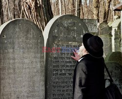 Judaica WMZ