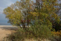 Pomorze MarMi