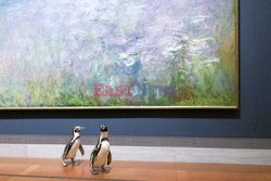 Pingwiny z Missouri z wizytą w muzeum