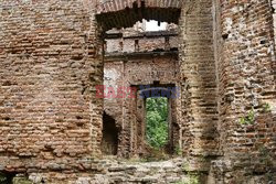 reporter_baza_2020-08