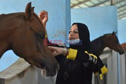 Konie w prywatnej stajni w Arabii Saudyjskiej
