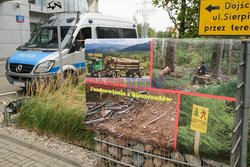 Pikiety przeciwko wycince lasów w Bieszczadach