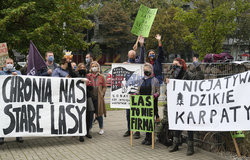 Pikiety przeciwko wycince lasów w Bieszczadach