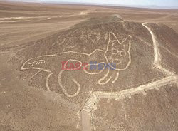 Olbrzymi wizerunek kota odkryto w Peru
