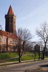 Polska RaJa