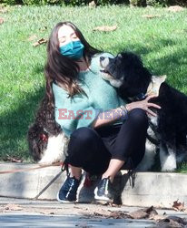 Ben Affleck i Ana de Armas z psami