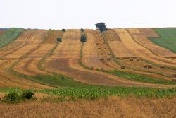 Polska RaJa