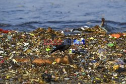 Śmieci na plaży na Sri Lance