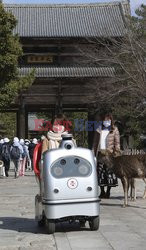 Samobieżny robot RakuRo dla zwiedzających