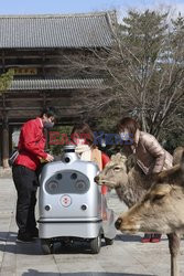 Samobieżny robot RakuRo dla zwiedzających