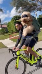 Wozi psa na rowerze