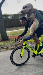 Wozi psa na rowerze