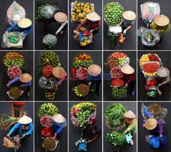 Kolorowi sprzedawcy warzyw i owoców w Hanoi