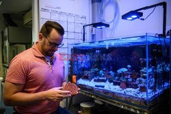 Rafy dla koralowców z drukarki 3D