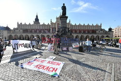 Antypisowski protest w Krakowie