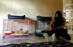 Libańczycy porzucają swoje zwierzaki z powodu biedy