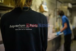 Oceanarium Paryskie