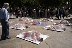 Obrońcy praw zwierząt protestują w Madrycie