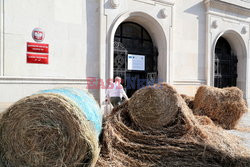 Akcja protestacyjna Agrounii pod Ministerstwem Rolnictwa